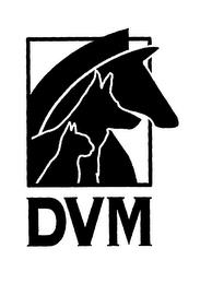 DVM trademark