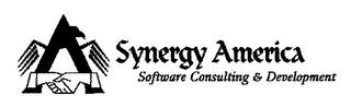 SYNERGY AMERICA SOFTWARE CONSULTING & DEVELOPMENT trademark