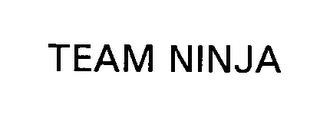 TEAM NINJA trademark