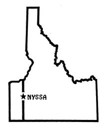 NYSSA trademark