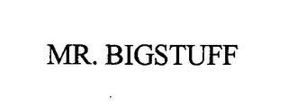 MR. BIGSTUFF trademark