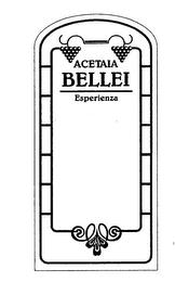 ACETAIA BELLEI ESPERIENZA trademark