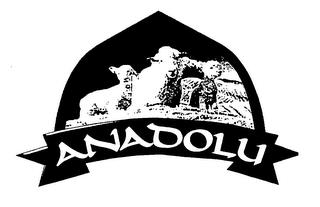 ANADOLU trademark