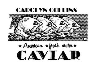 CAROLYN COLLINS CAVIAR AMERICAN FRESH WATER trademark