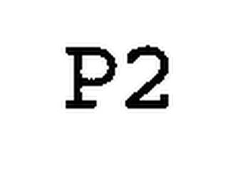 P2 trademark