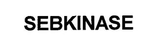 SEBKINASE trademark