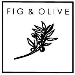 FIG & OLIVE trademark