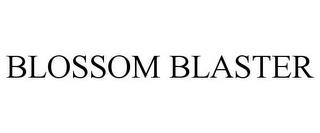 BLOSSOM BLASTER trademark