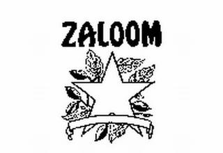 ZALOOM trademark