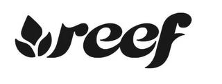 REEF trademark