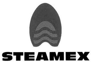 STEAMEX trademark