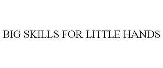 BIG SKILLS FOR LITTLE HANDS trademark