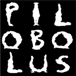 PILOBOLUS trademark