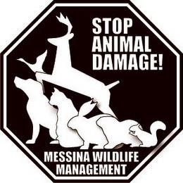 STOP ANIMAL DAMAGE! MESSINA WILDLIFE MANAGEMENT trademark