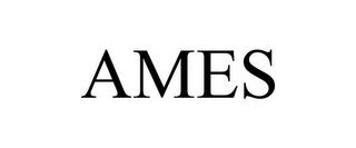 AMES trademark