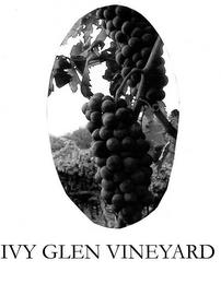 IVY GLEN VINEYARD trademark