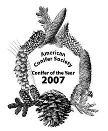 AMERICAN CONIFER SOCIETY CONIFER OF THE YEAR trademark