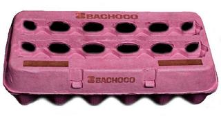 BACHOCO trademark