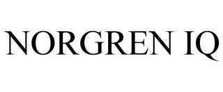 NORGREN IQ trademark