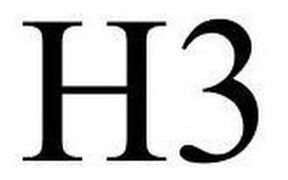 H3 trademark