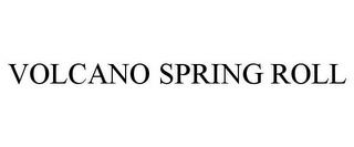 VOLCANO SPRING ROLL trademark