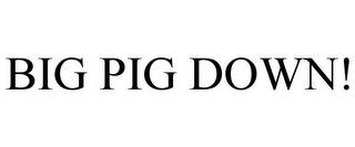 BIG PIG DOWN! trademark