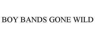 BOY BANDS GONE WILD trademark