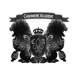 C A CASHMERE ACADEMY trademark