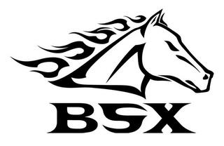 BSX trademark