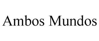 AMBOS MUNDOS trademark