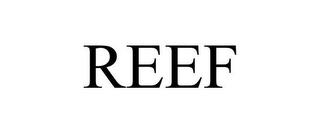 REEF trademark