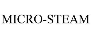 MICRO-STEAM trademark