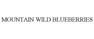 MOUNTAIN WILD BLUEBERRIES trademark