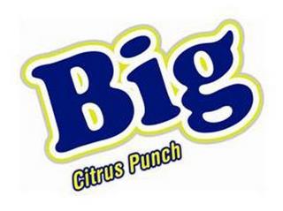 BIG CITRUS PUNCH trademark