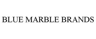 BLUE MARBLE BRANDS trademark