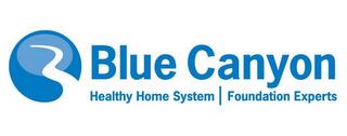 BLUE CANYON HEALTHY HOME SYSTEM FOUNDATION EXPERTS trademark