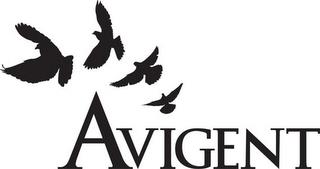 AVIGENT trademark