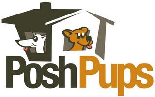 POSH PUPS trademark