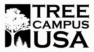 TREE CAMPUS USA trademark