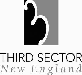 3 THIRD SECTOR NEW ENGLAND trademark