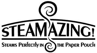 STEAMAZING! STEAMS PERFECTLY IN THE PAPER POUCH trademark