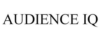 AUDIENCE IQ trademark