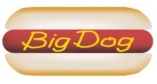 BIG DOG trademark