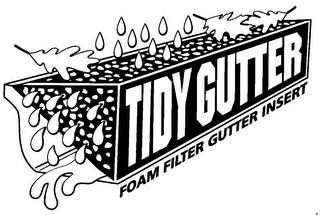 TIDY GUTTER FOAM FILTER GUTTER INSERT trademark