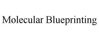 MOLECULAR BLUEPRINTING trademark