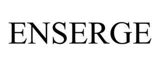 ENSERGE trademark