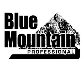 BLUE MOUNTAIN PROFESSIONAL trademark