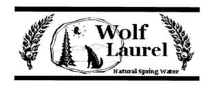 WOLF LAUREL NATURAL SPRING WATER trademark