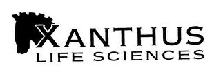 XANTHUS LIFE SCIENCES trademark