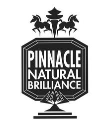 PINNACLE NATURAL BRILLIANCE trademark